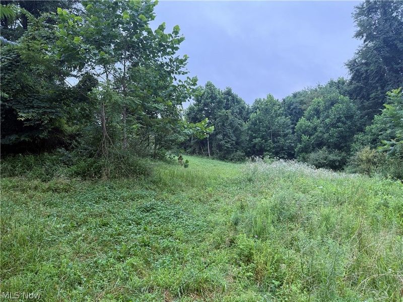 560 Wickens Road, Macksburg, OH 45767 Photo 19