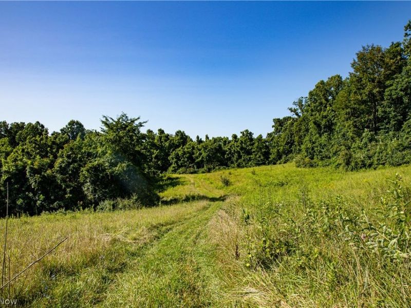 560 Wickens Road, Macksburg, OH 45767 Photo 3