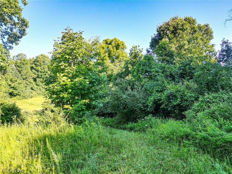 560 Wickens Road, Macksburg, OH 45767 Photo 31