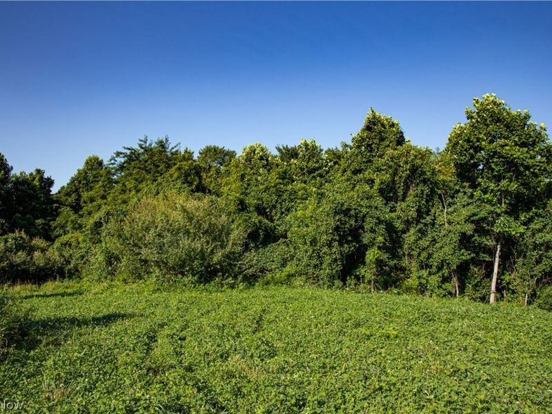 560 Wickens Road, Macksburg, OH 45767 Photo 45