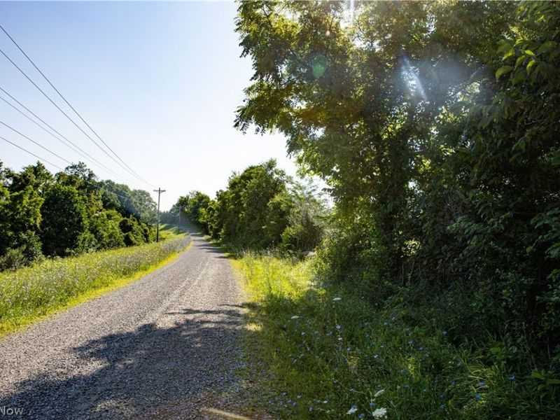 560 Wickens Road, Macksburg, OH 45767 Photo 50