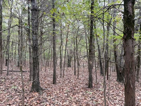 Off of Lawrence 106, Ravenden, AR 72459