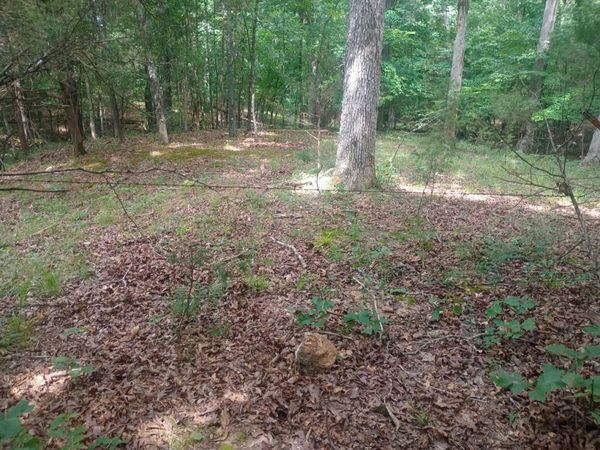 Off of Lawrence 106 , Ravenden, AR 72459