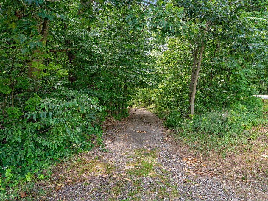 Property Image 54