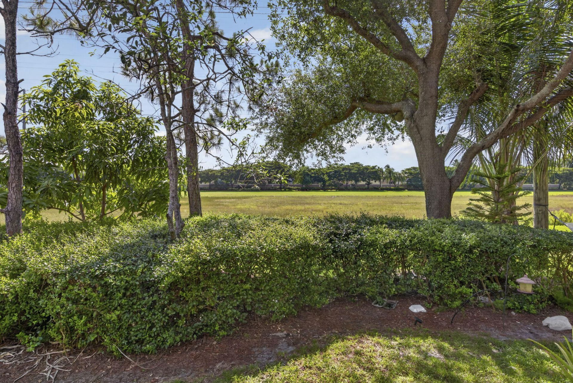 333 River Bluff Lane, Royal Palm Beach, FL 33411 Photo