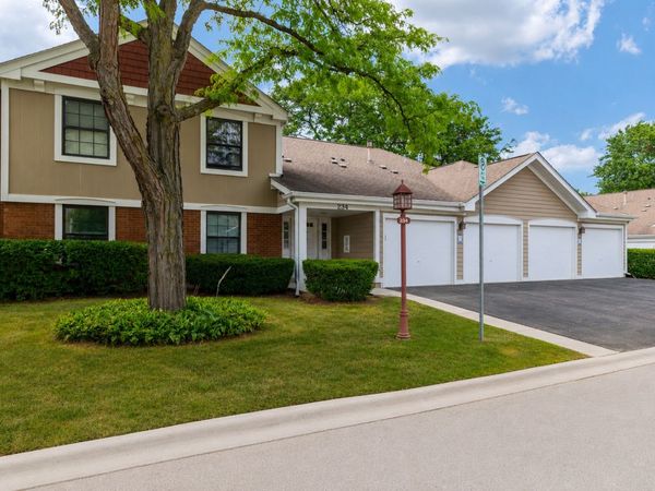 234 Deerpath Court , Unit D1, Schaumburg, IL 60193
