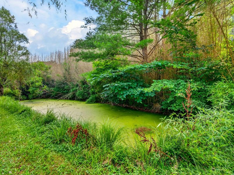 33791 State Route 683, McArthur, OH 45651 Photo 4