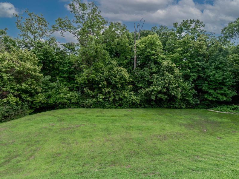 1880 Whetherstone Ridge, Hebron, KY 41048 Photo 40
