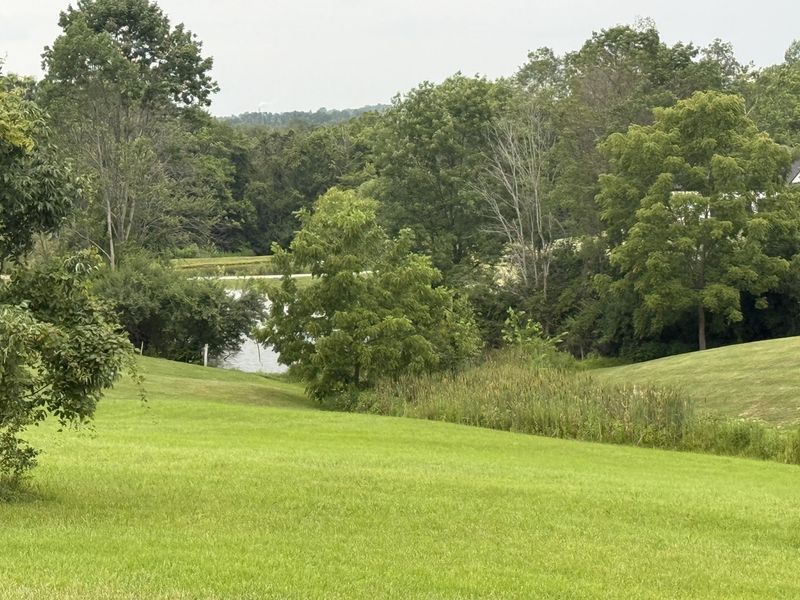 2009 Rice Pike, Union, KY 41091 Photo 5
