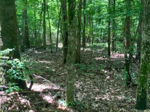 260 Madison CR 410 , Fredericktown, MO 63645