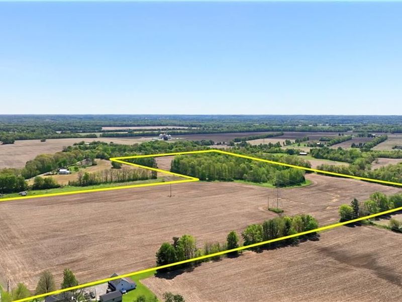 61 Acres Lammes Lane, Bethel Township, OH 45344 Photo 10