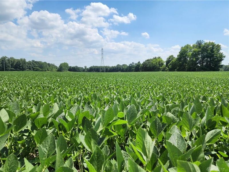 61 Acres Lammes Lane, Bethel Township, OH 45344 Photo 3