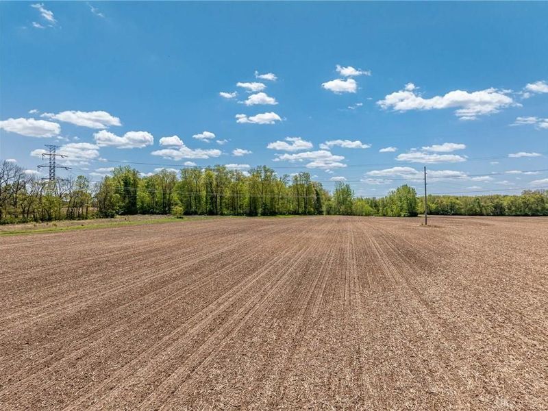 61 Acres Lammes Lane, Bethel Township, OH 45344 Photo 4