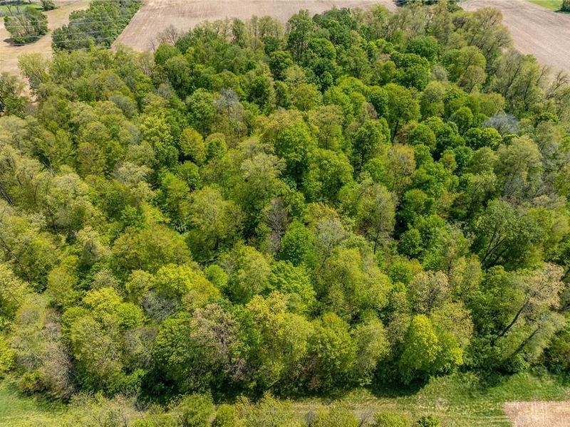 61 Acres Lammes Lane, Bethel Township, OH 45344 Photo 5