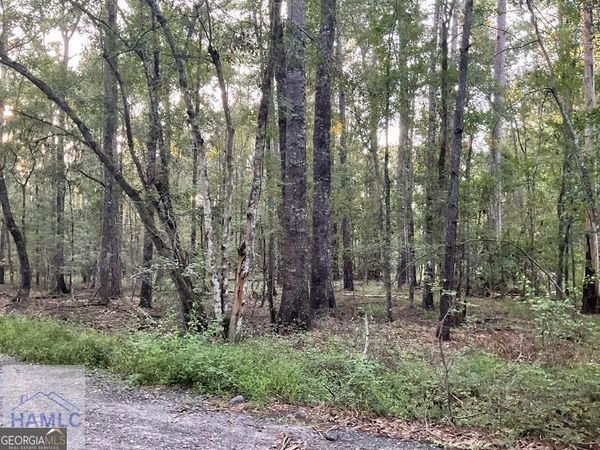 0 Cherry Lane, Fleming, GA 31313