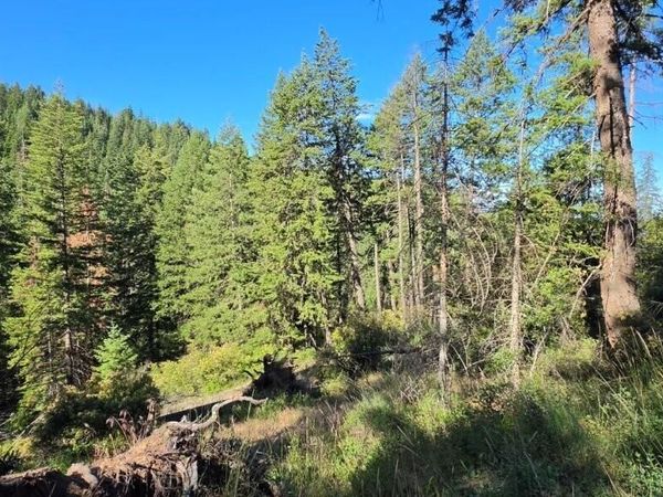 N Gages Mountain Rd , Coeur d'Alene, ID 83814