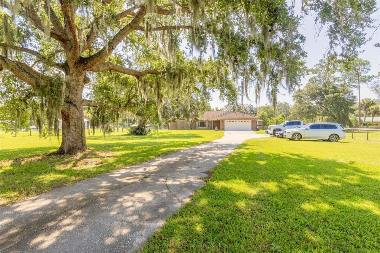 1389 Williams Road, New Smyrna Beach, FL 32168 Photo
