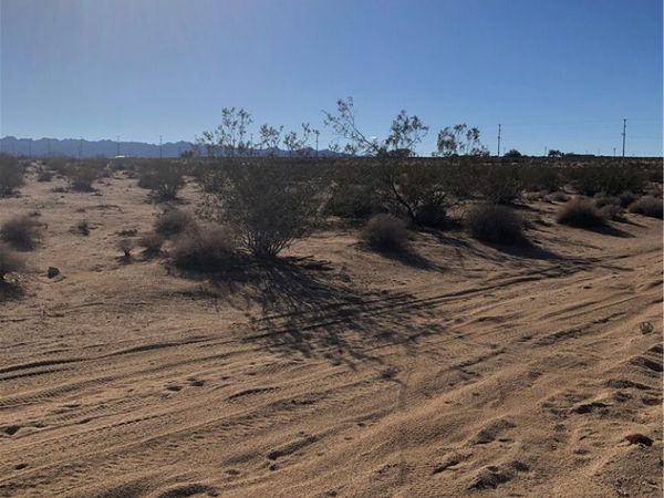 1 Pampas , 29 Palms, CA 92277