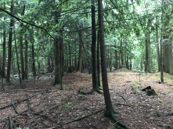 Old State Road, Johannesburg, MI 49751
