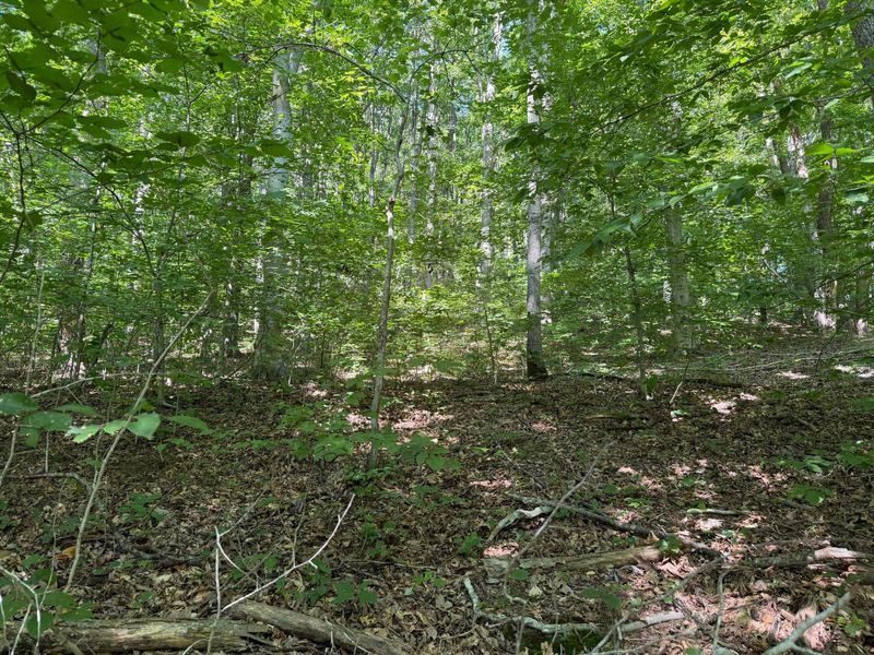 0 Rainbow Trail , Waverly, OH 45690 Photo 6