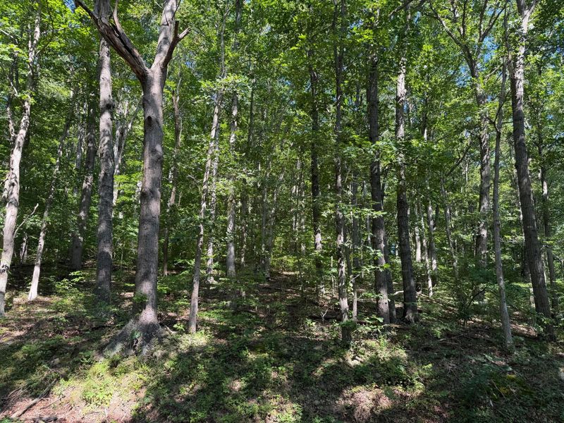 0 Rainbow Trail , Waverly, OH 45690 Photo 8