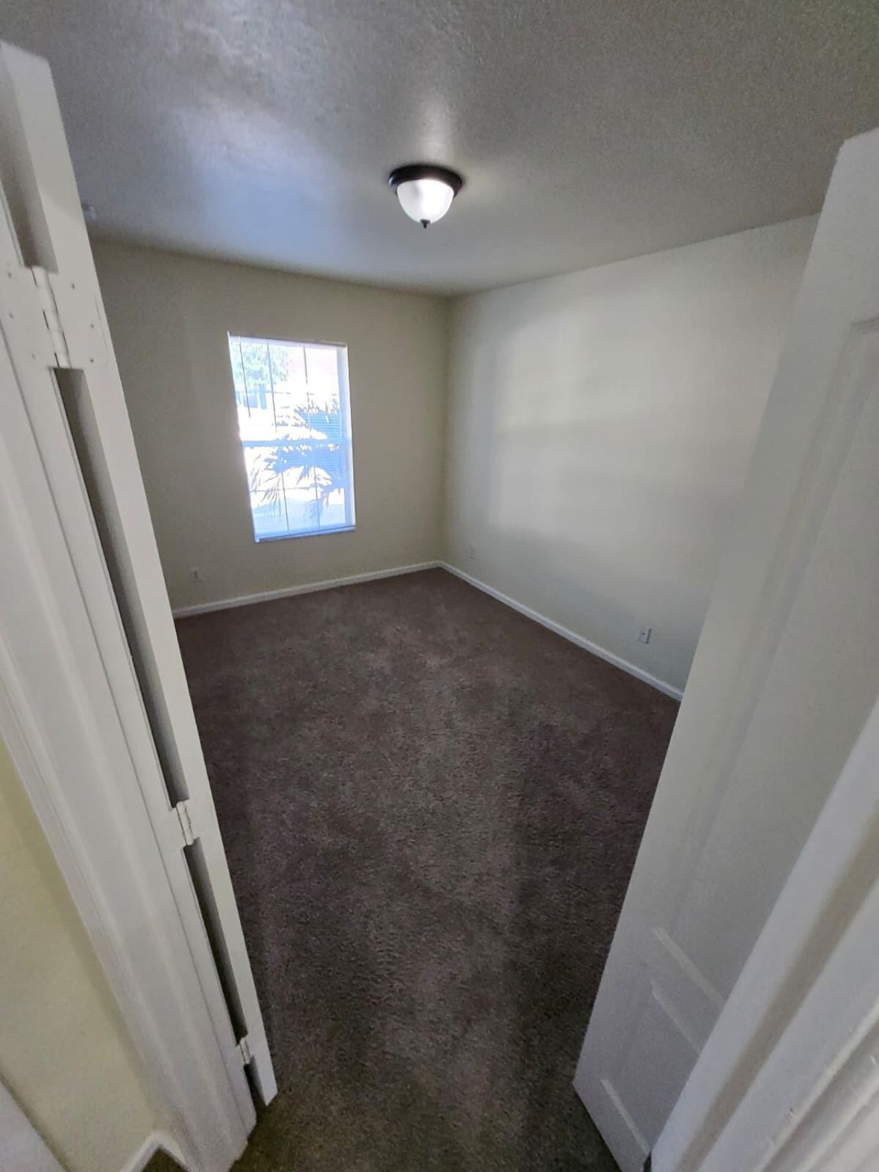 4701 Cohune Palm Court, Greenacres, FL 33463 Photo