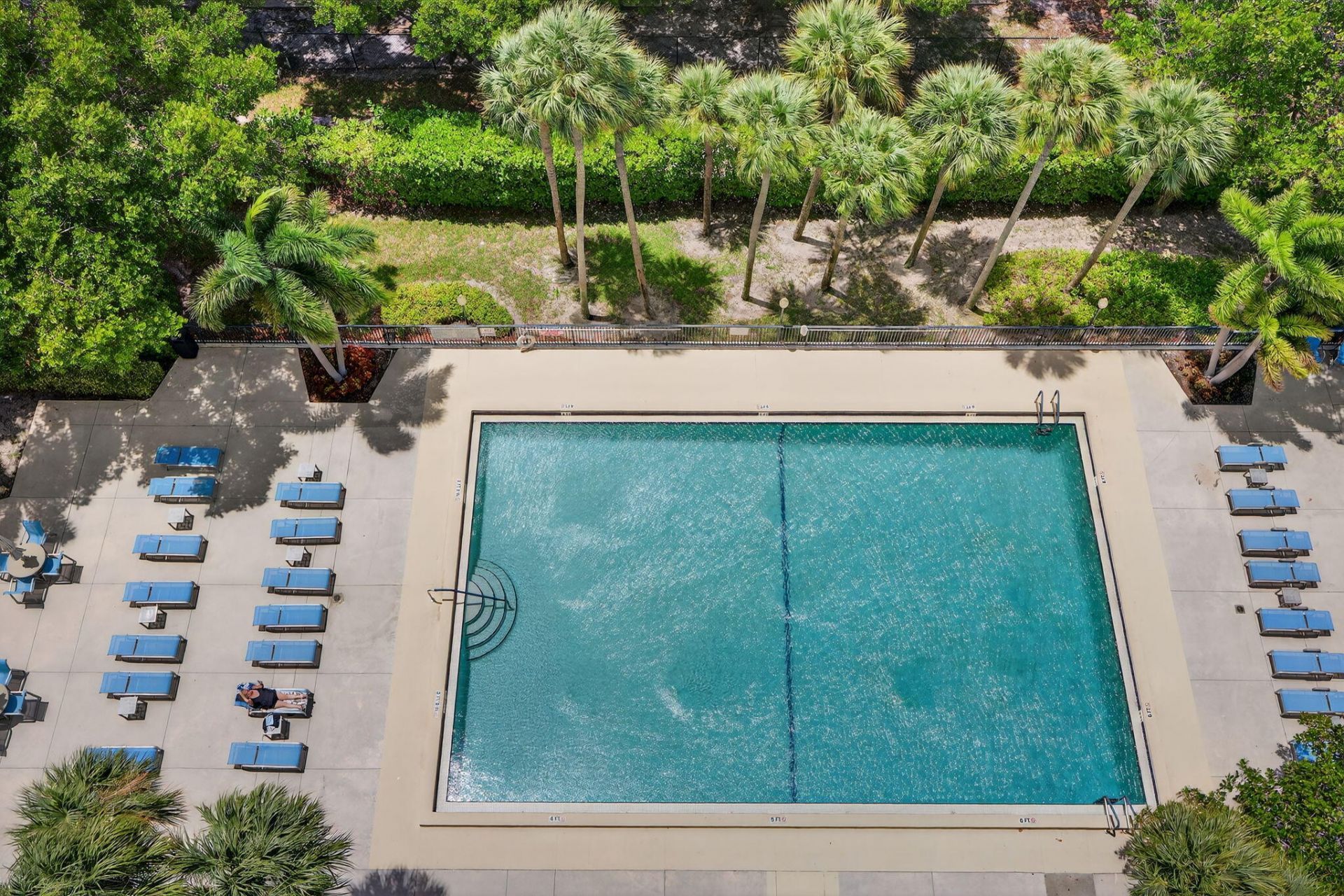 3200 Port Royale Drive N, Unit 1205, Fort Lauderdale, FL 33308 Photo