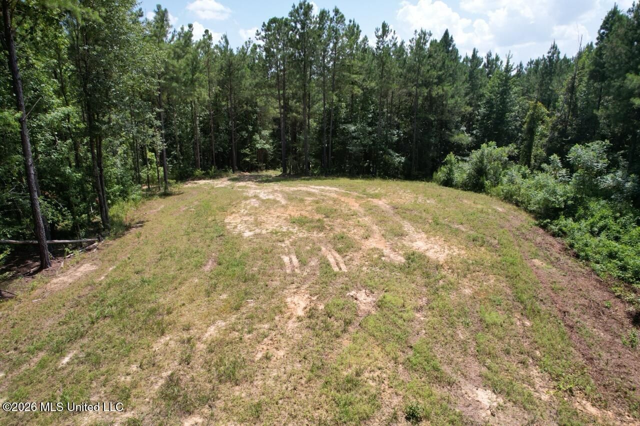 399 NE Dummyline Road, McCall Creek, MS 39647 Main Photo