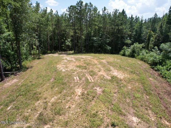 399 NE Dummyline Road , McCall Creek, MS 39647