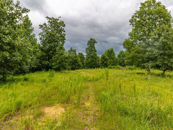 210 Loveman Lane , Hampshire, TN 38461