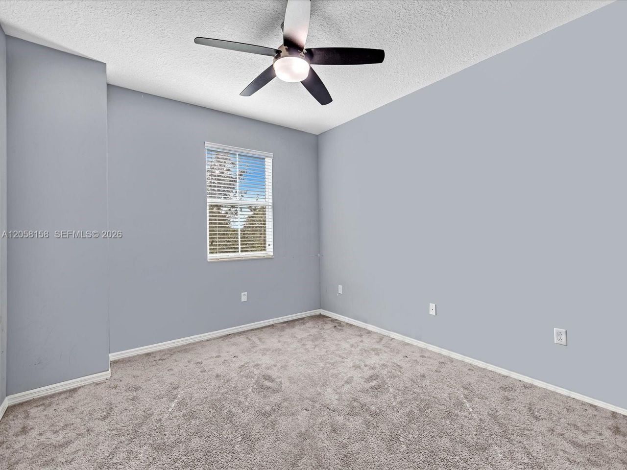 6447 Osprey Landing St, Davie, FL 33314 Photo