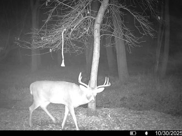 TBD 20th Street SE, Becker, MN 55319