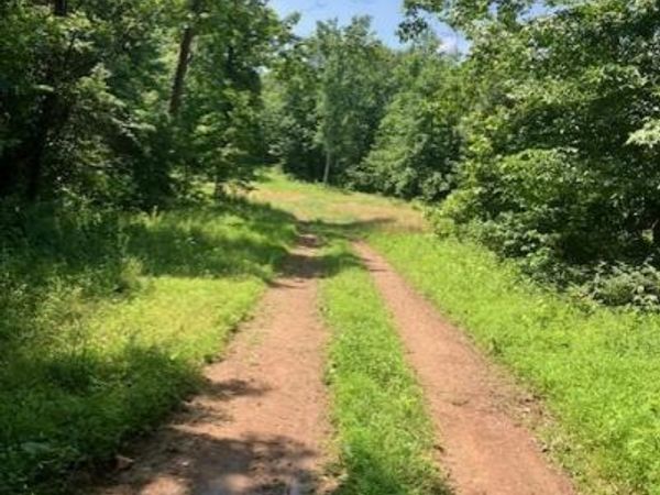 250 Madison CR 410 , Fredericktown, MO 63645