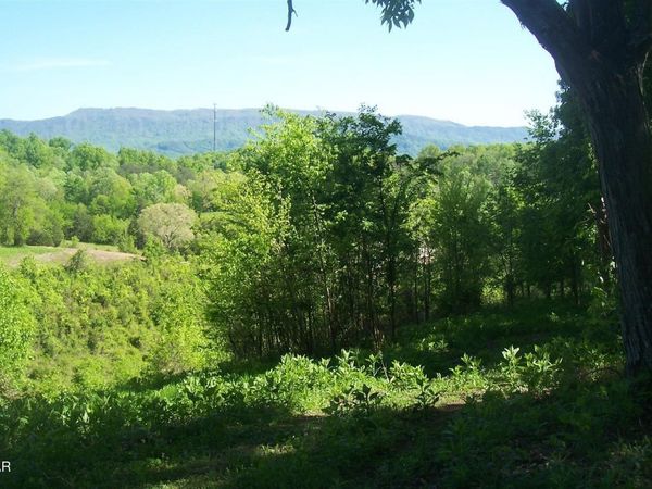 1 Chapman Highway Highway , Unit 1, Seymour, TN 37865