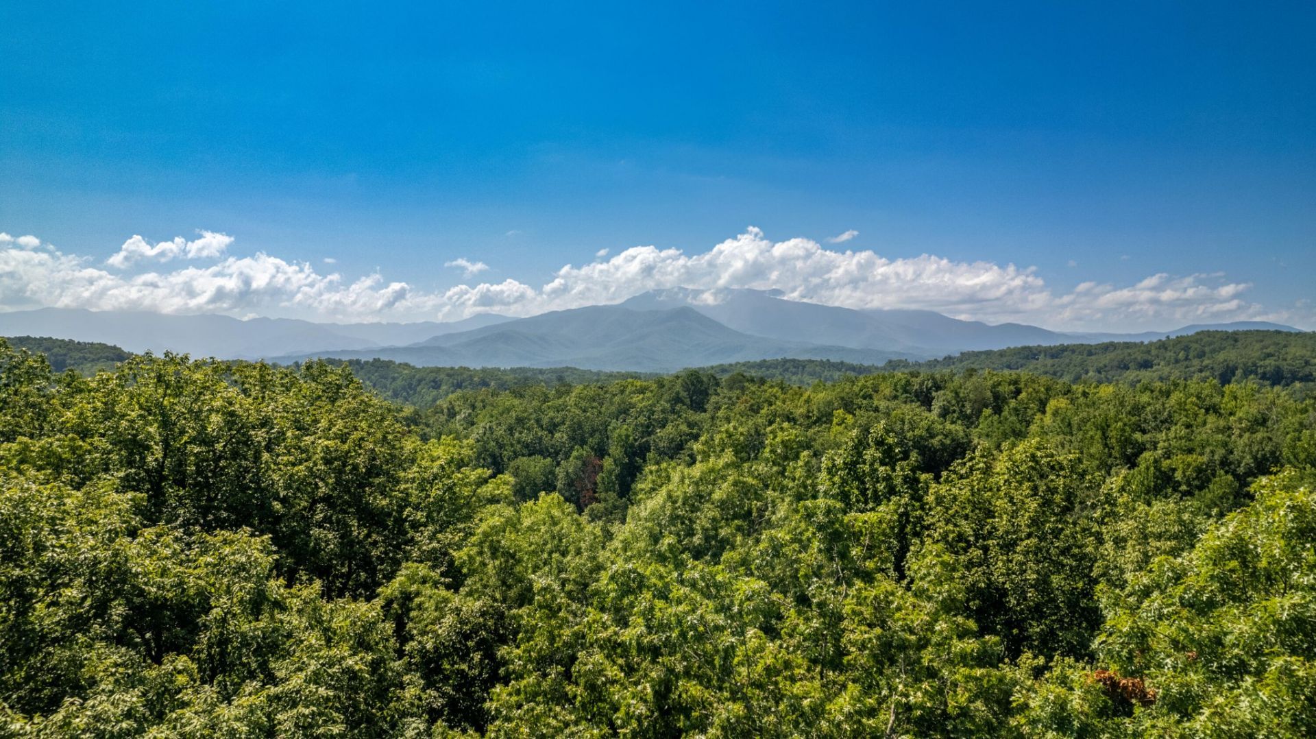 11 Spring Hill Drive, Lot #11, Sevierville, TN 37876 Main Photo