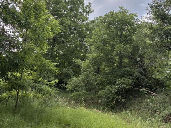 0 Rexford Road, Grass Lake, MI 49240