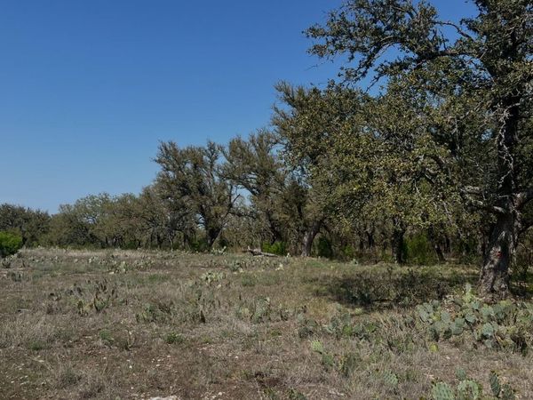 Lot 42 Waterbuck WAY, Lampasas, TX 76550