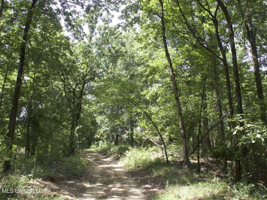 Property Image 40