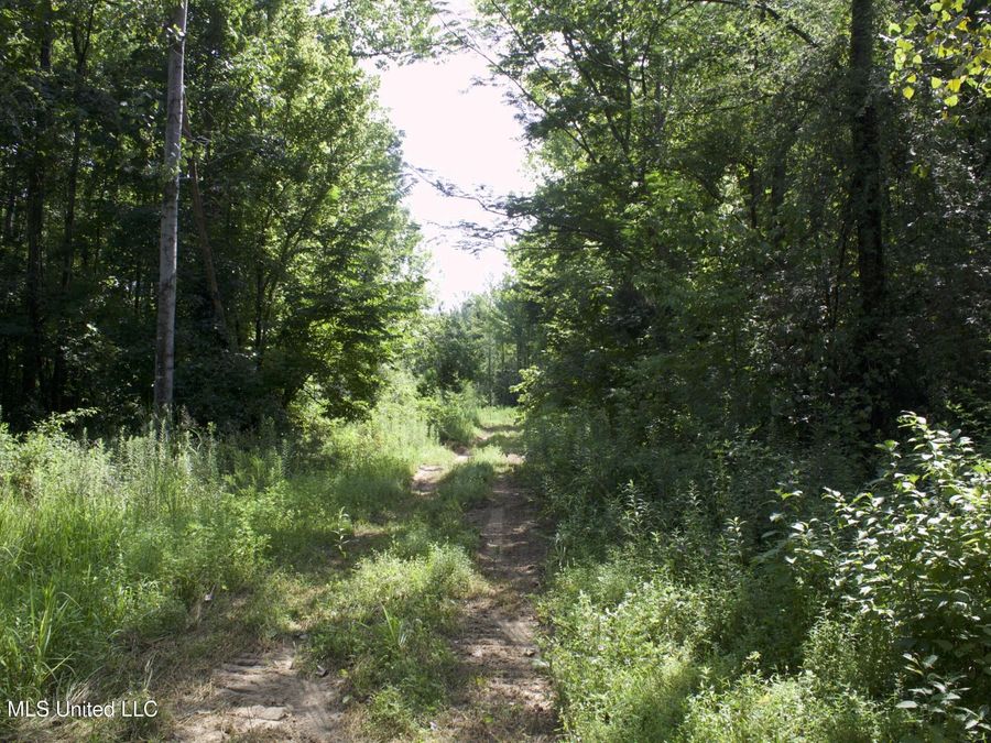 Property Image 66