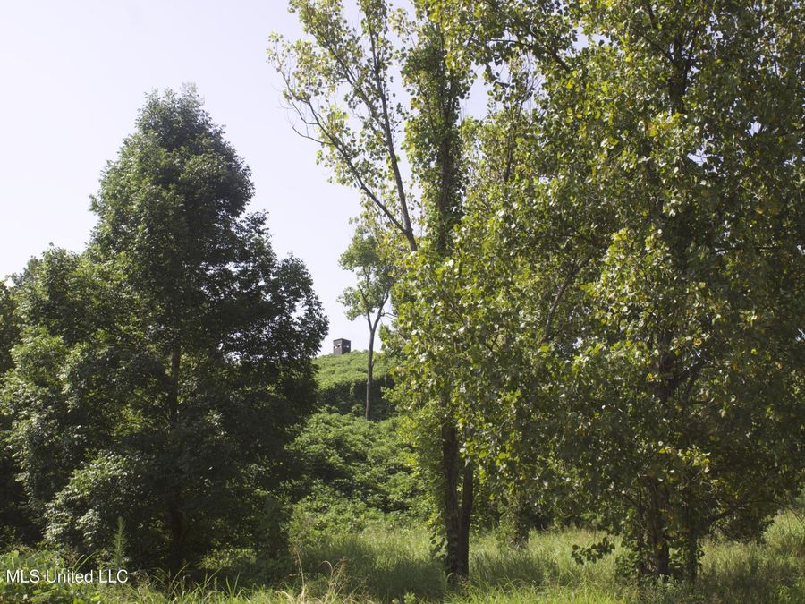 Property Image 70