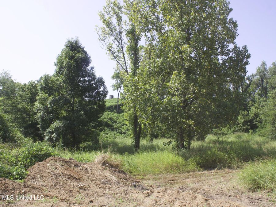 Property Image 71