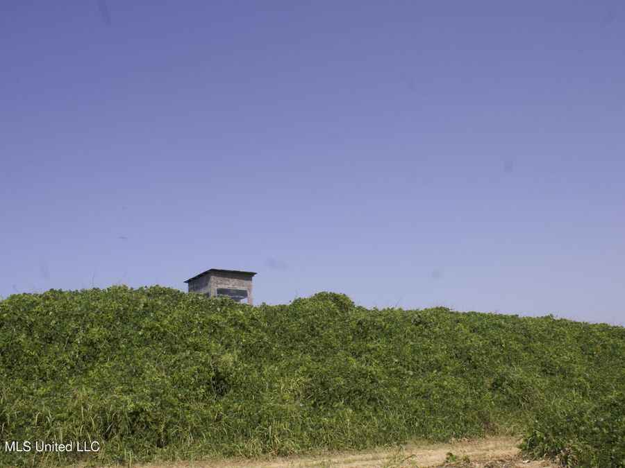 Property Image 73