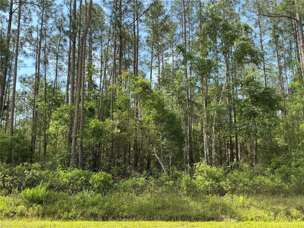 4425 JOYCE STREET , HASTINGS, FL 32145
