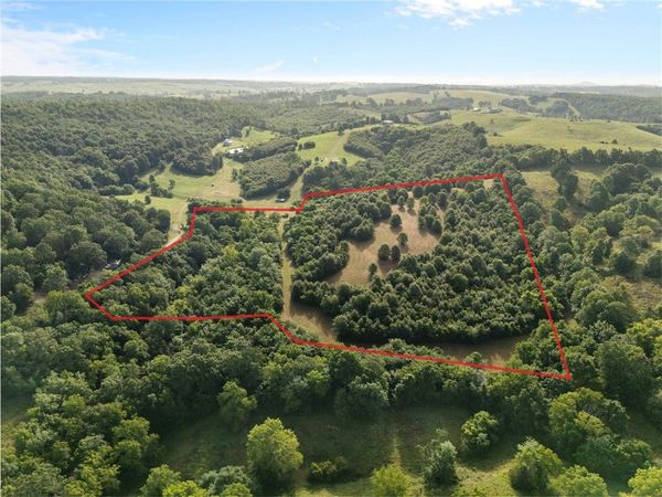 TBD (24 acres) Donkey Trail , Everton, AR 72633