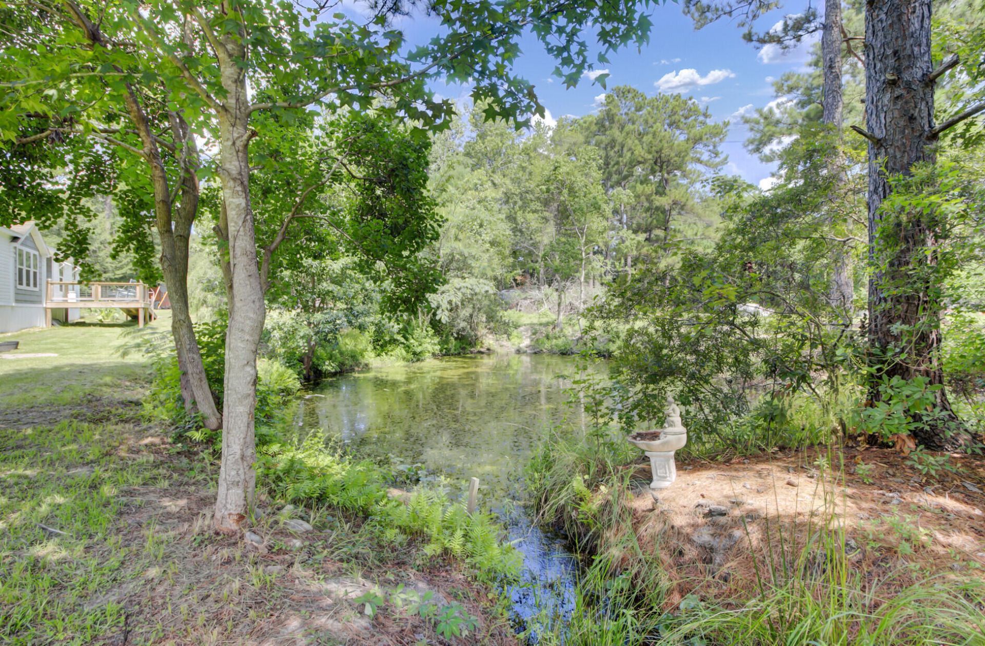 104 Autumn Lane Photo 7