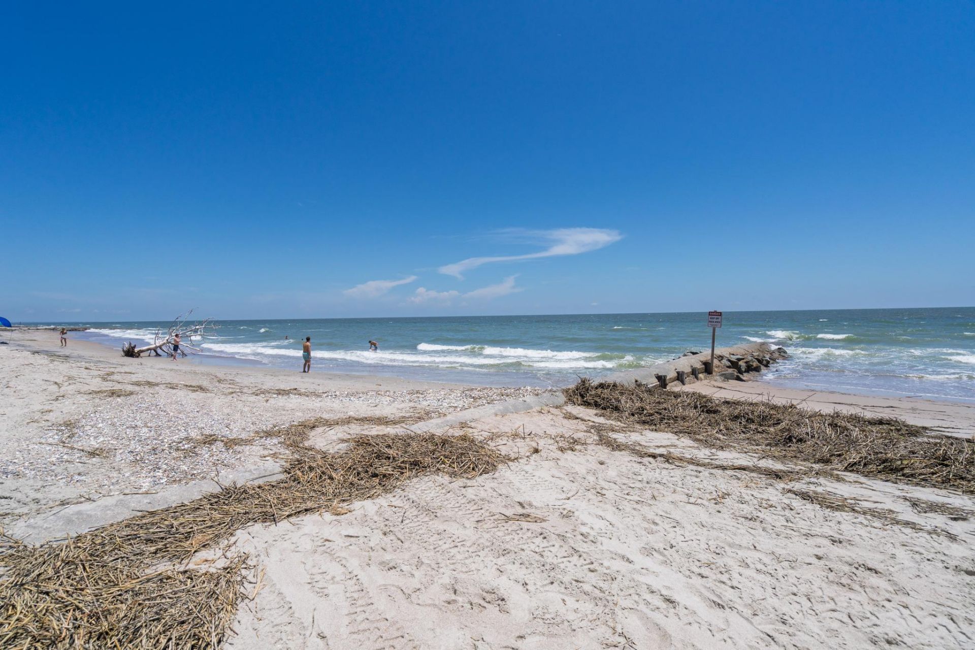 218 Palmetto Boulevard Photo 35