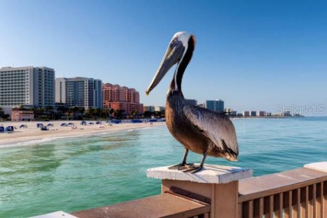 2403 S Atlantic Avenue, Unit 1008, Daytona Beach Shores, FL 32118 Photo