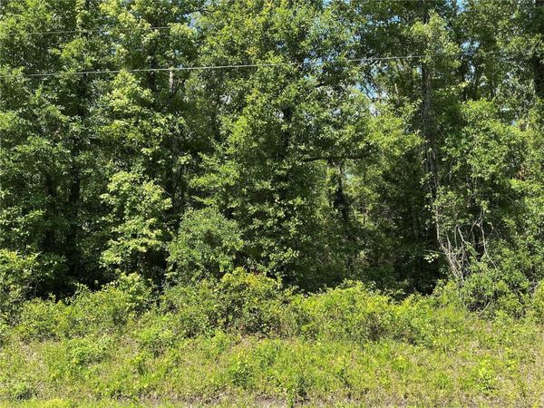 10135 MCMAHON AVENUE , HASTINGS, FL 32145