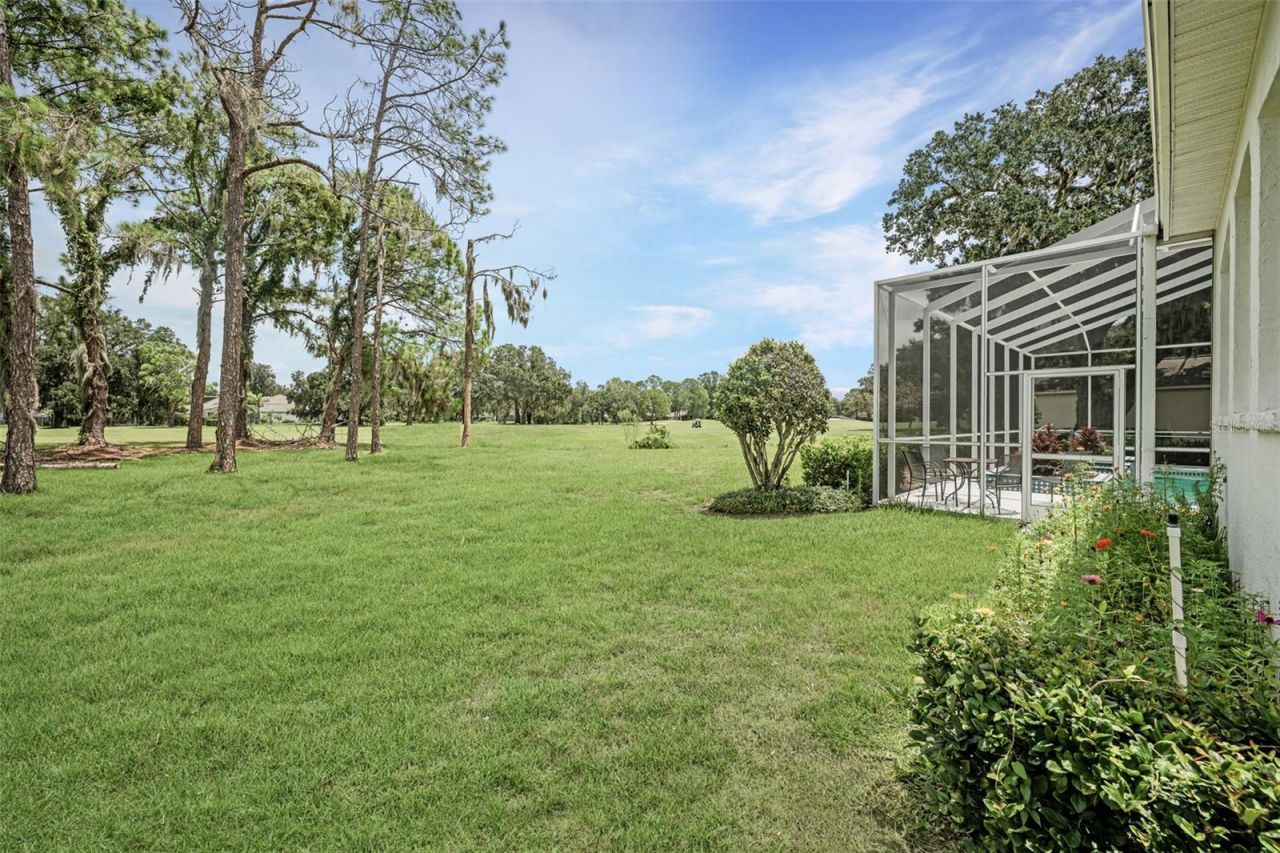 5429 Burnt Hickory Drive, Valrico, FL 33596 Photo