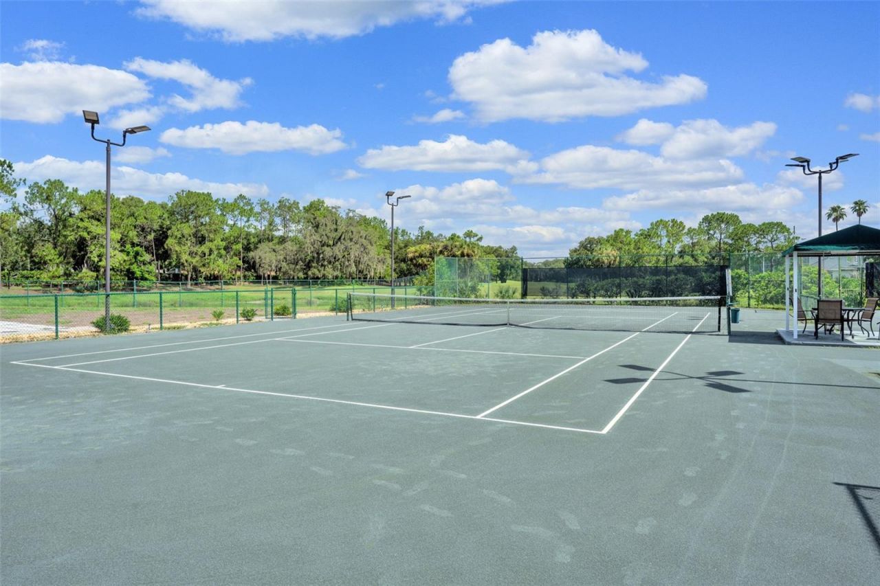 5429 Burnt Hickory Drive, Valrico, FL 33596 Photo